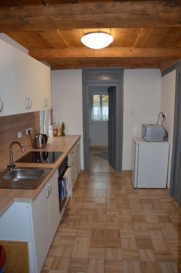 Apartment U Soptika Rybniste